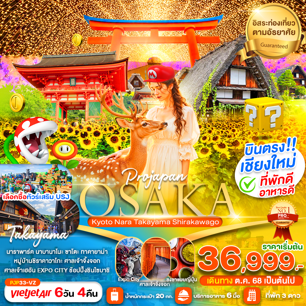 ทัวร์ญี่ปุ่น  PRO OSAKA KYOTO NARA TAKAYAMA SHIRAKAWAGO 6วัน 4คืน  (VZ)