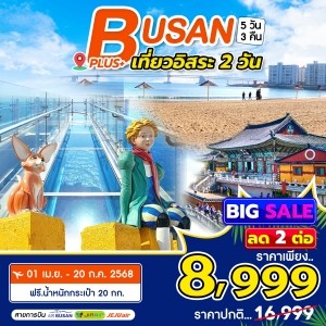 ทัวร์เกาหลี BUSAN PLUS 5วัน 3คืน (BX)
